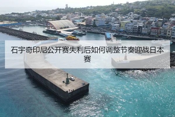 shi-yu-qi-yin-ni-gong-kai-sai-shi-li-hou-ru-he-tiao-zheng-jie-zou-ying-zhan-ri-ben-sai-1-485.jpg