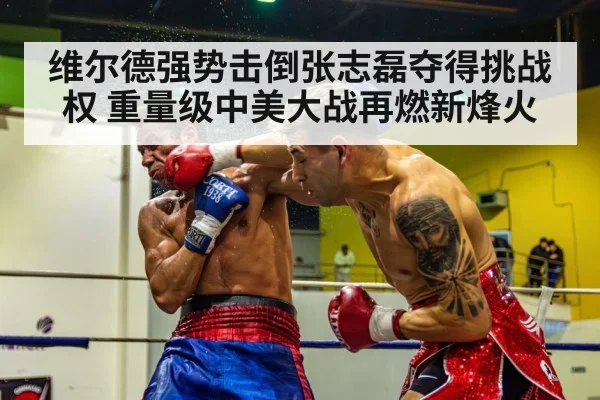 维尔德强势击倒张志磊夺得挑战权 重量级中美大战再燃新烽火