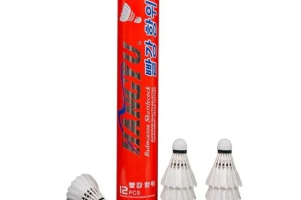 新赛季西甲毕尔巴鄂竞技巴尔韦德战术与尼科威廉姆斯状态分析